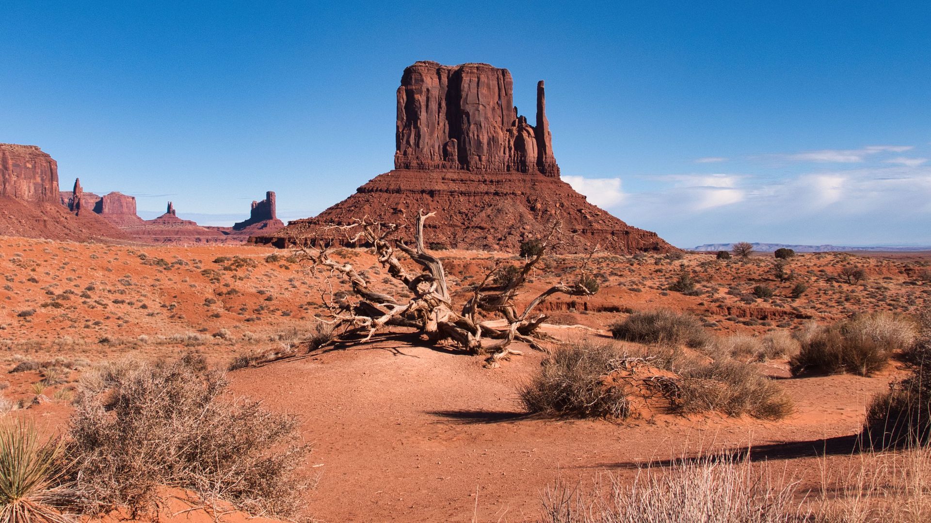 Southern Arizona: Desert Wonders & Western Stories