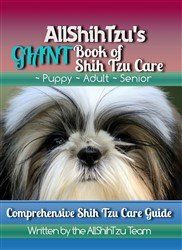 How long do shih hot sale tzu live in human years