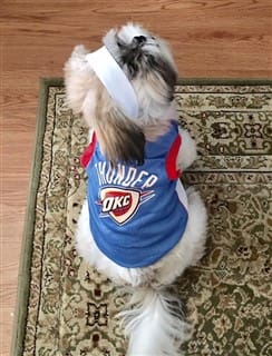 dog NBA Thunder costume