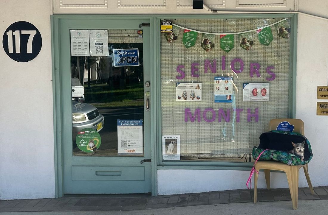 Your pets are in good hands with our veterinary surgeons.