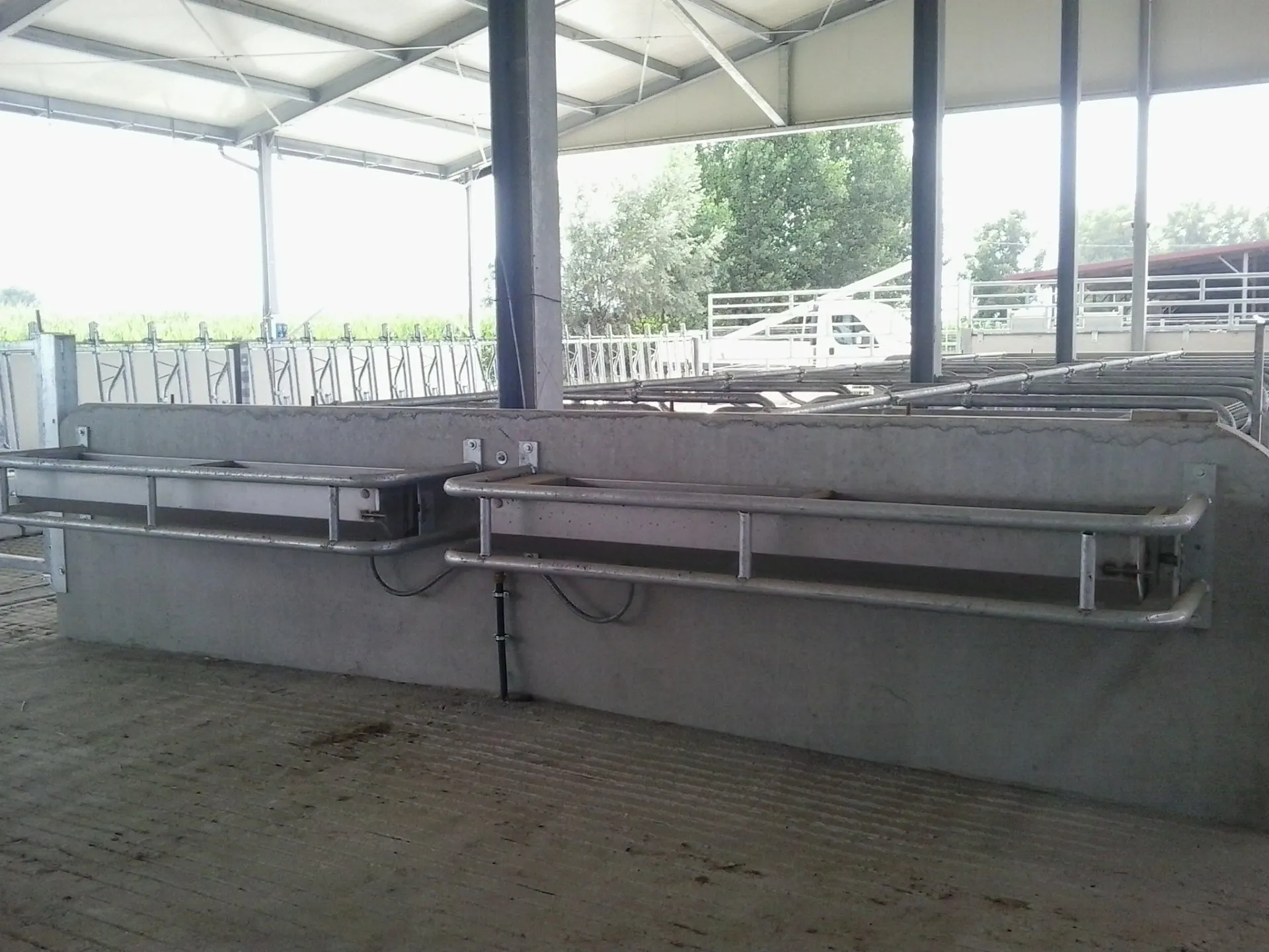 abbeveratoi per mucche