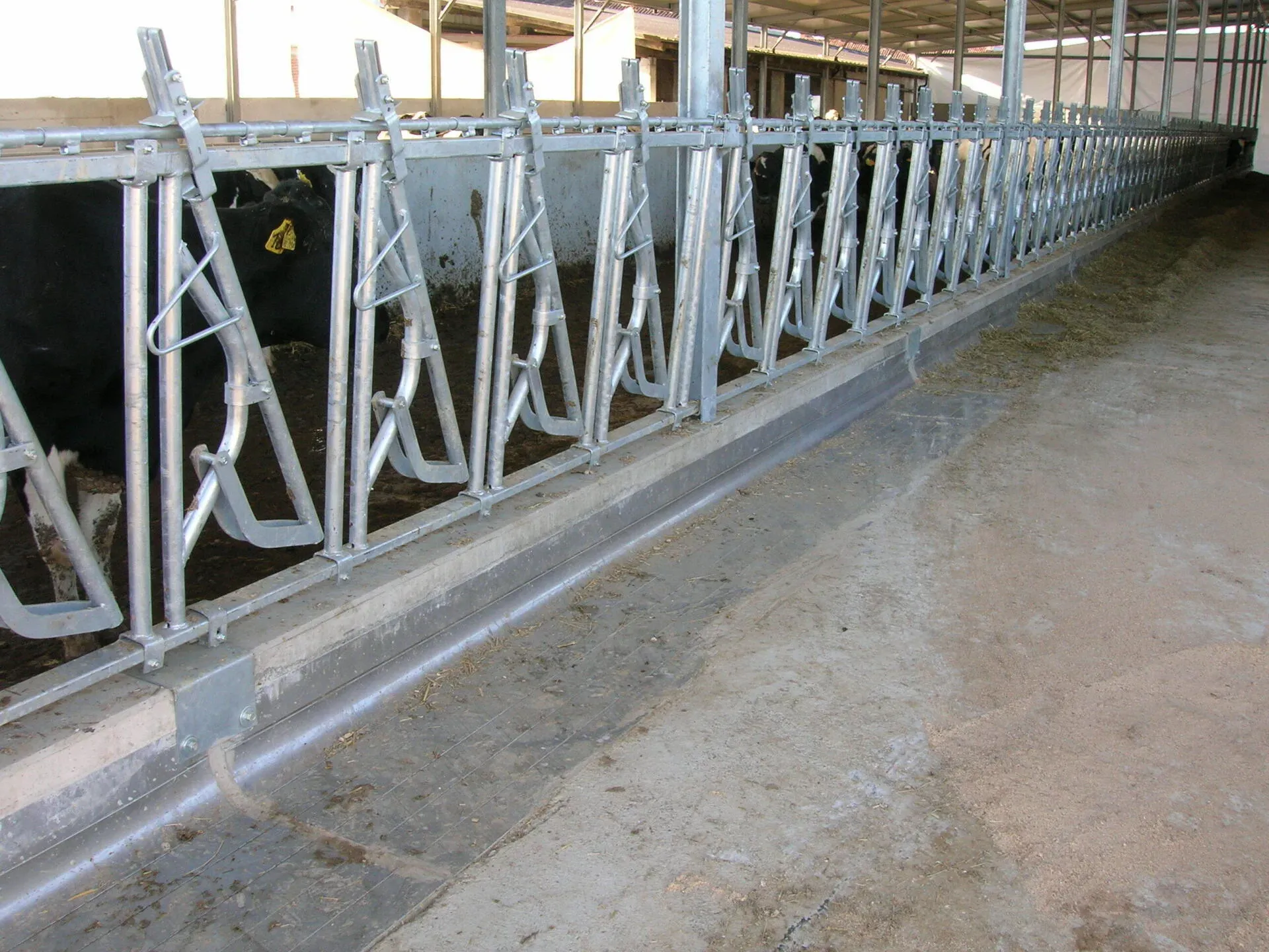 attrezzatura interna per stalle