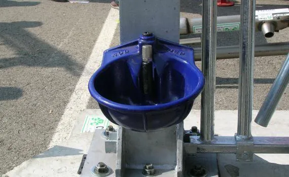 sistemi di abbeveratoi per mucche