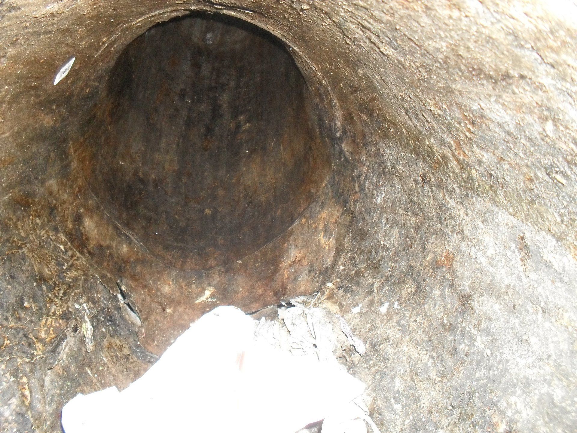 Inner view of a waste pipe