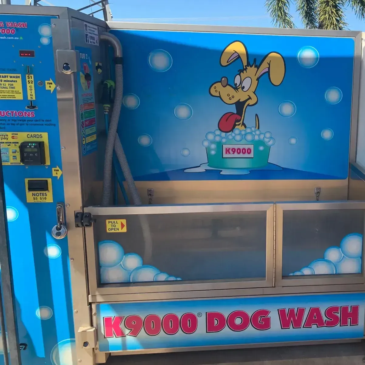 Wet Dog Getting Clean - Dog Wash in Darwin, NT