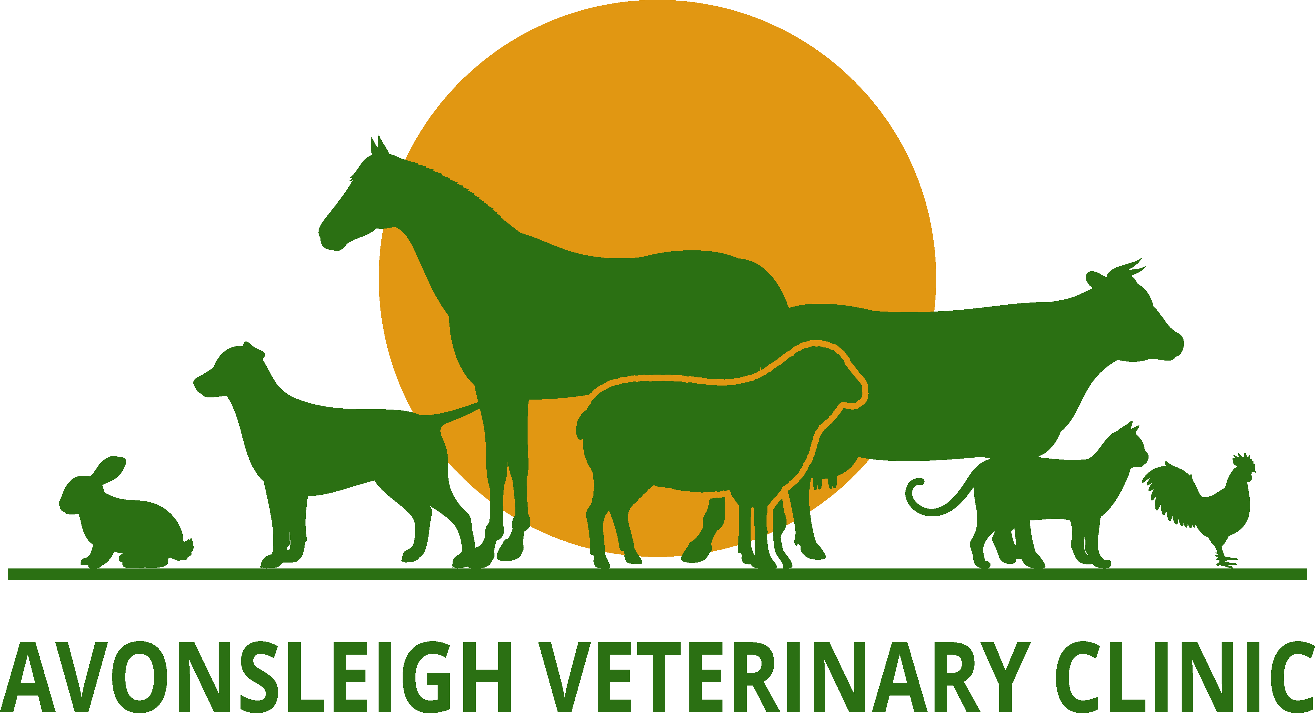 avonsleigh veterinary hospital