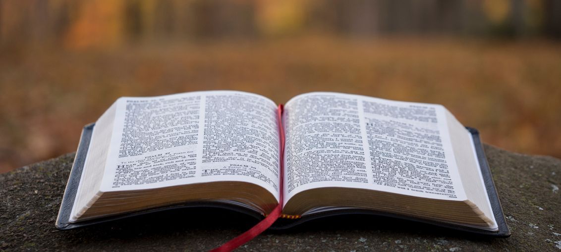 An open Bible with a red ribbon on a stone outdoors with a blurred forest background.