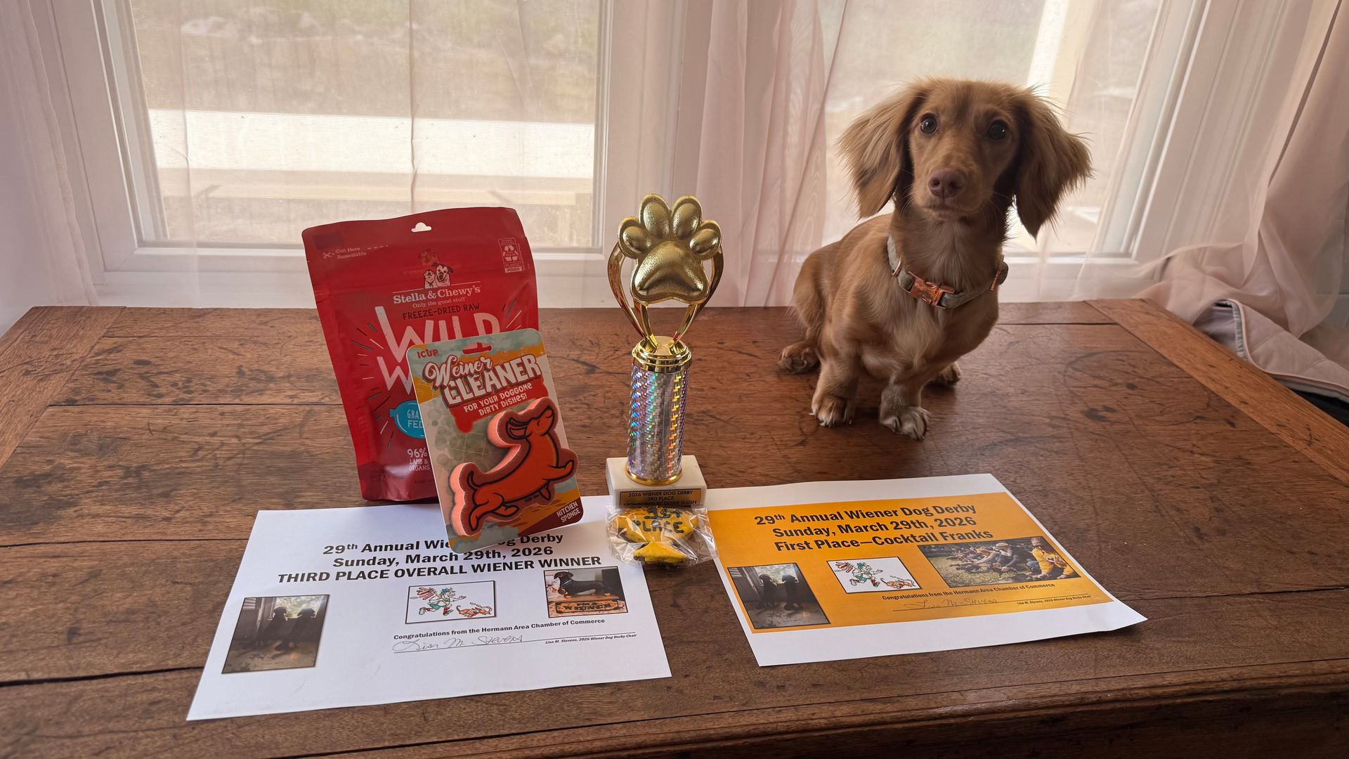 #winnienestleinnschampion