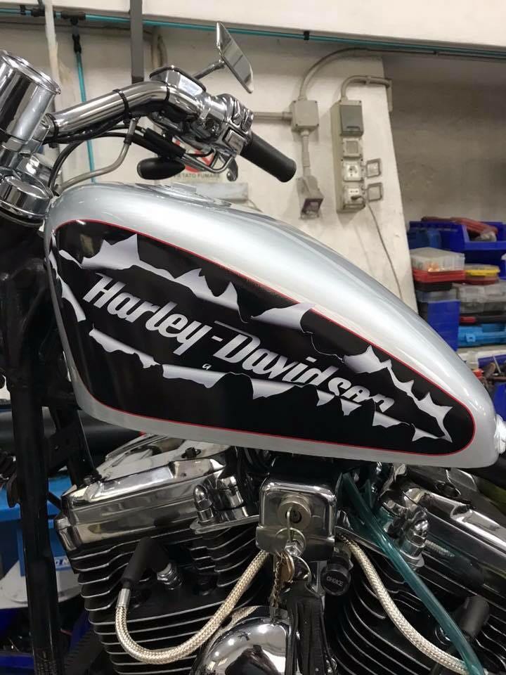 Dettagli parte centrale con logo Harley Davidson