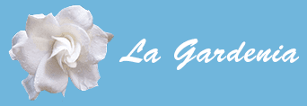 Fiore di gardenia bianca con la scritta "La Gardenia" su sfondo azzurro.