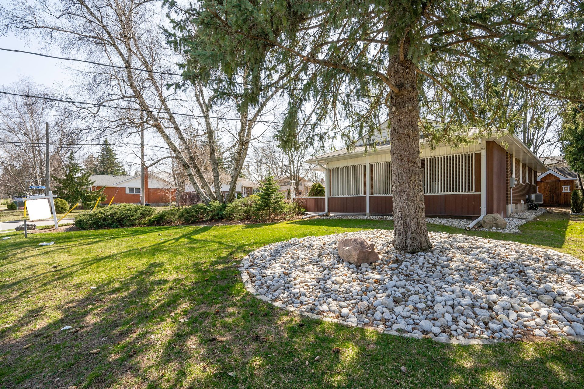 House with brown siding, shaded by a large tree, surrounded by grass and a gravel bed.