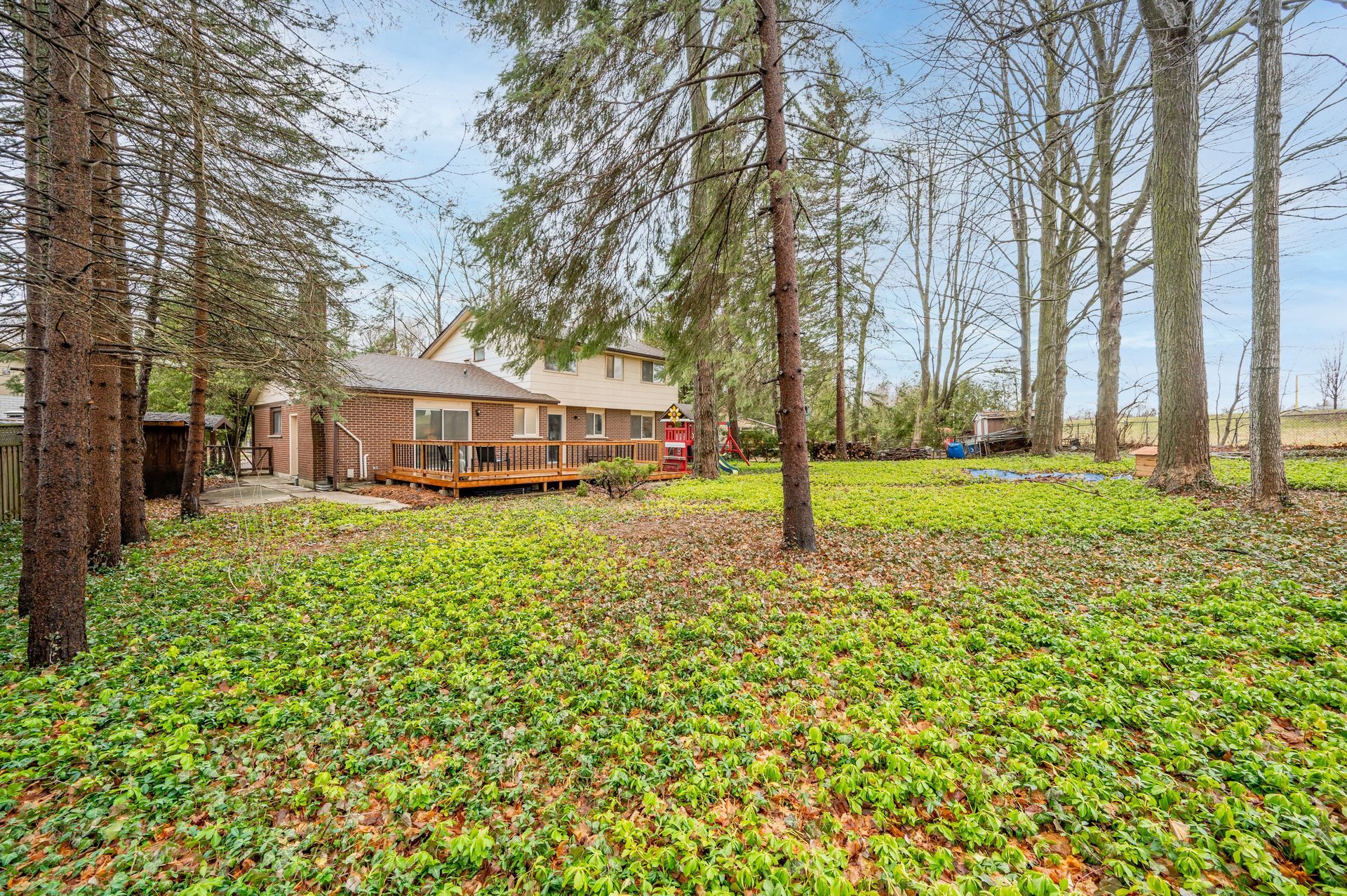 Backyard with house and deck surrounded by trees and ground cover.