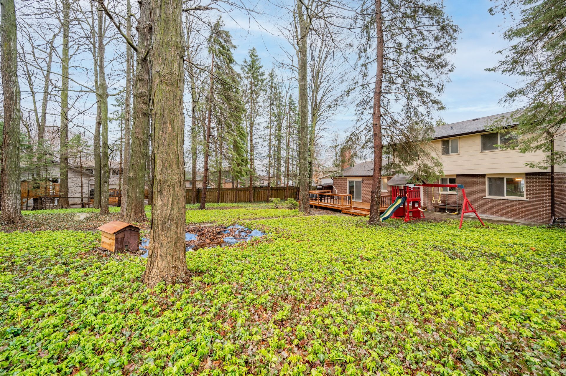 Backyard with a lawn, trees, and a two-story house. There is also a small wooden shed and a water feature.