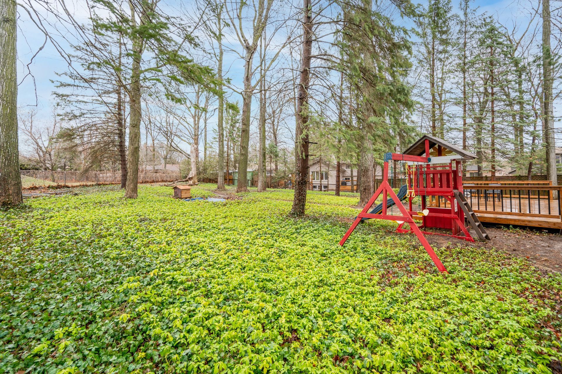 Backyard with playground, tall trees, and green ground cover. Red play structure and wooden deck visible.