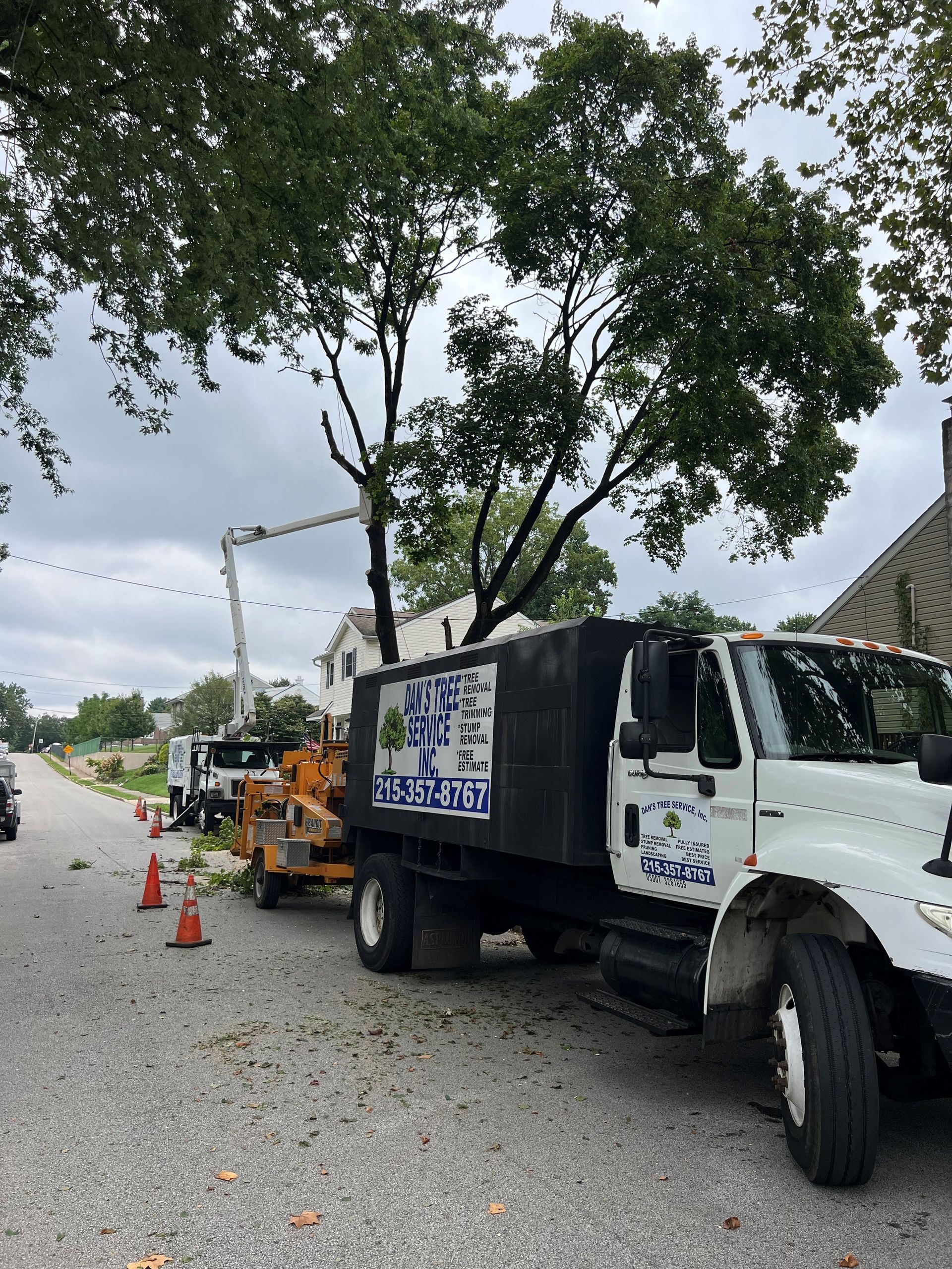 A tree cutting truck is parked on the side of the road.