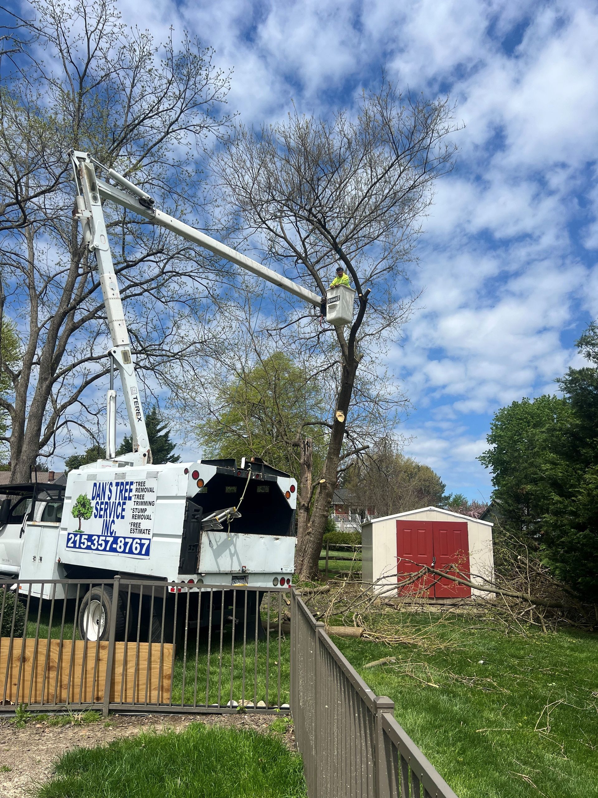 A man is cutting a tree with a crane in a yard.