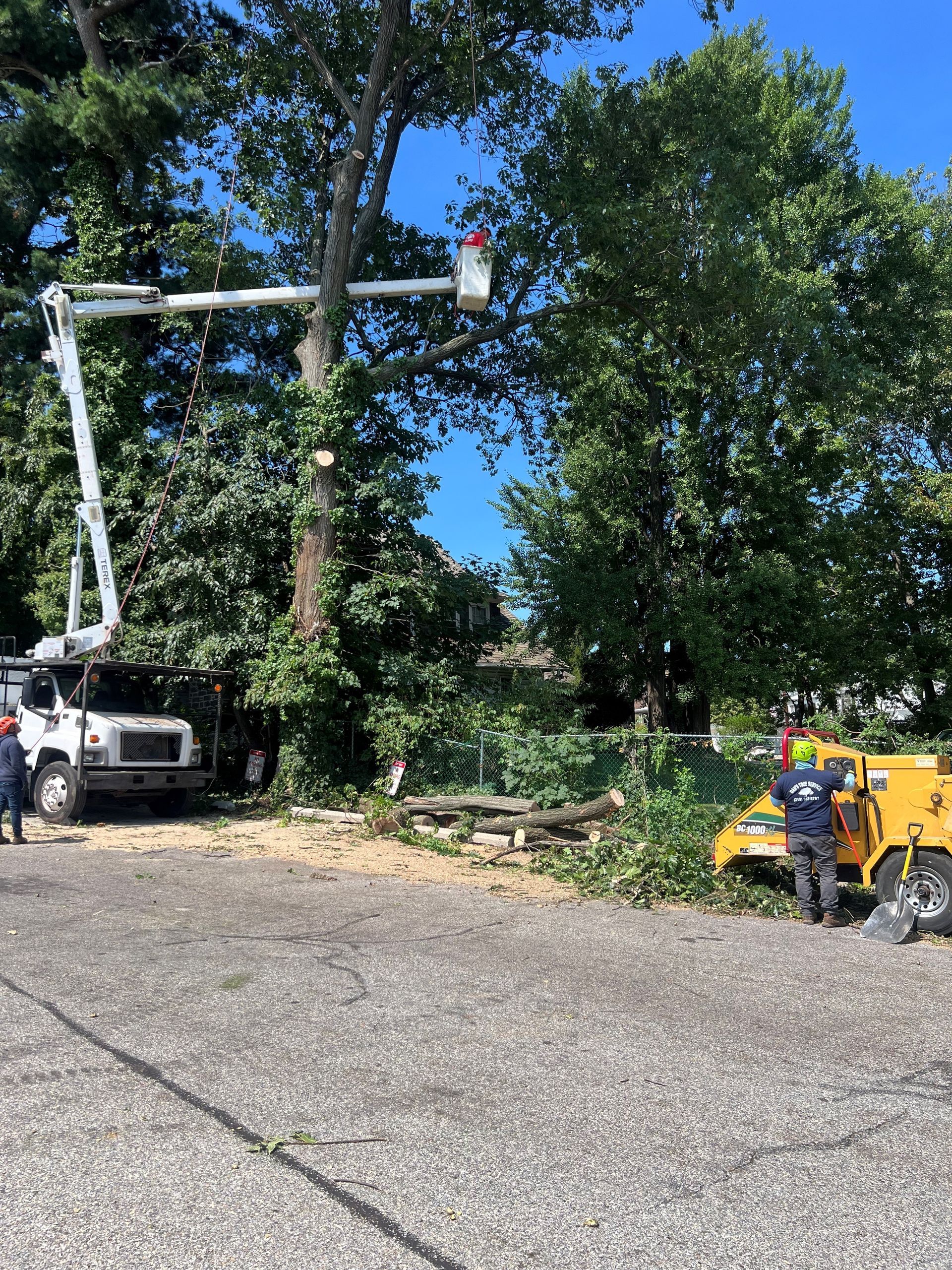 A man is cutting a tree with a crane in a parking lot.