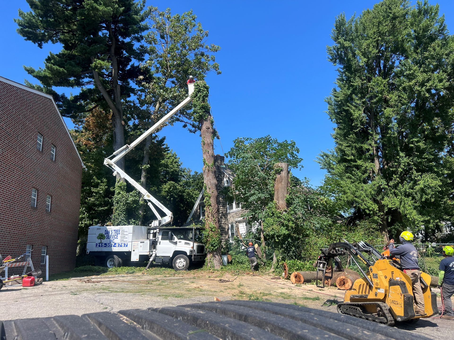 A white truck with a crane attached to it is cutting a tree.