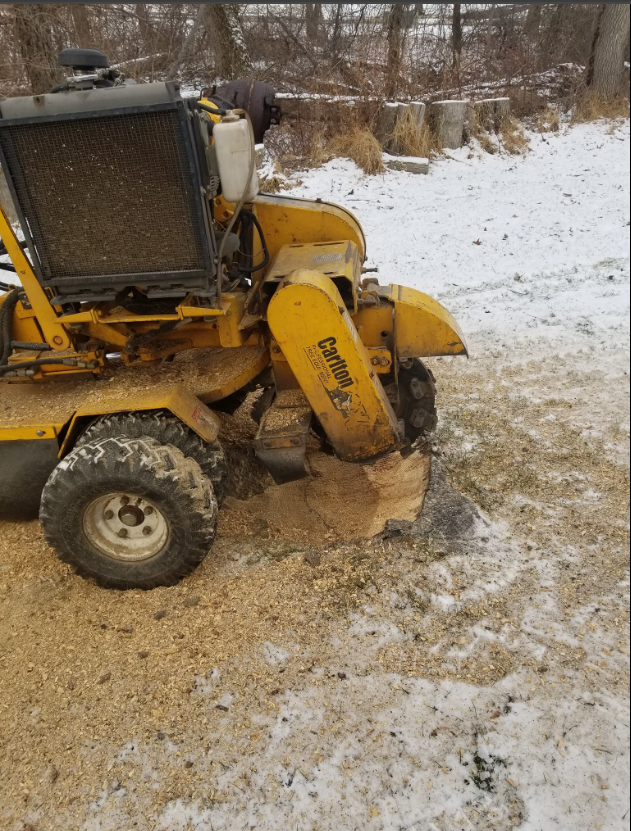 A stump grinder is cutting a tree stump in a yard.