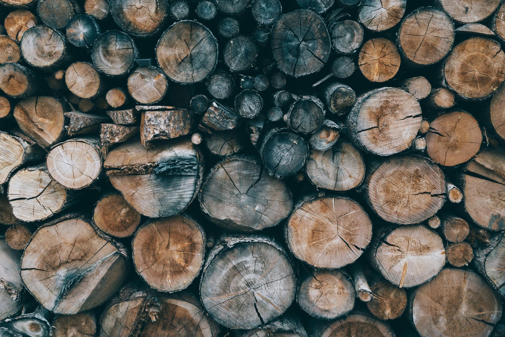 A pile of logs stacked on top of each other.