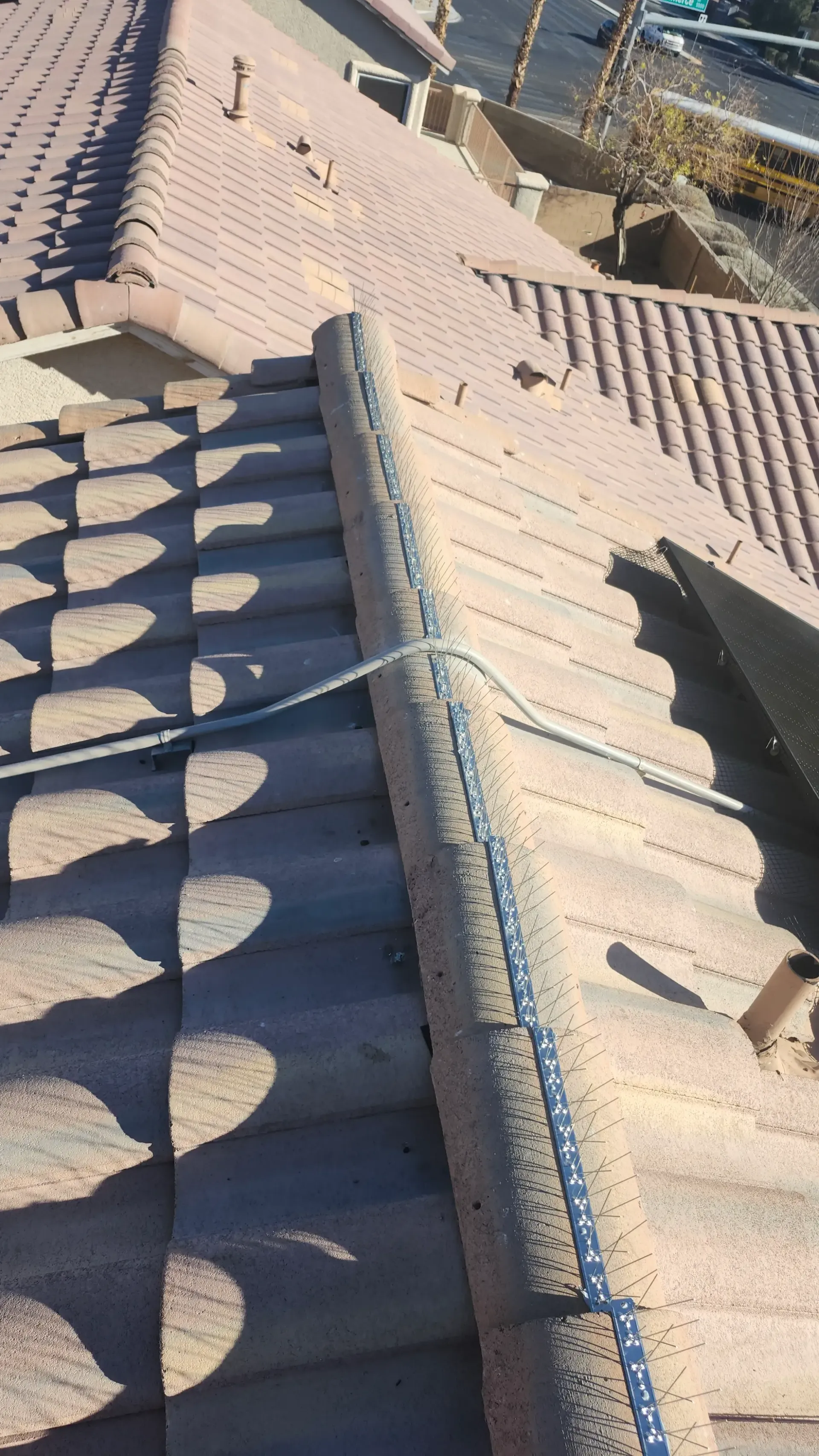 Pigeon Proofing in Las Vegas NV