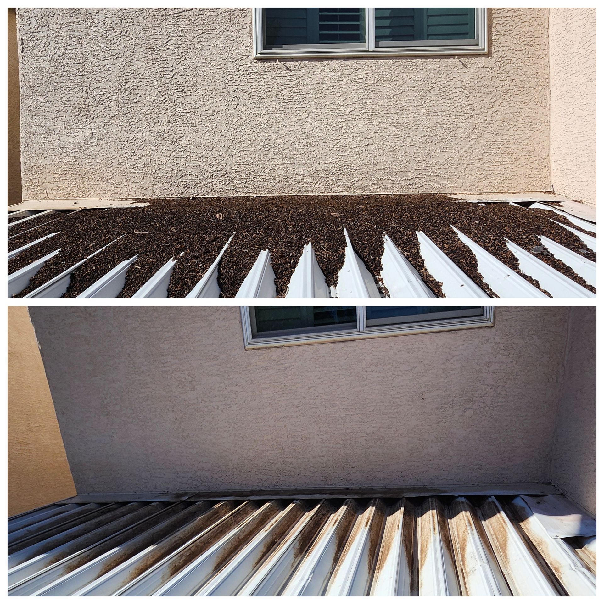 A picture of pigeon waste covers a backyard awning, and another photo shows the area free of waste.