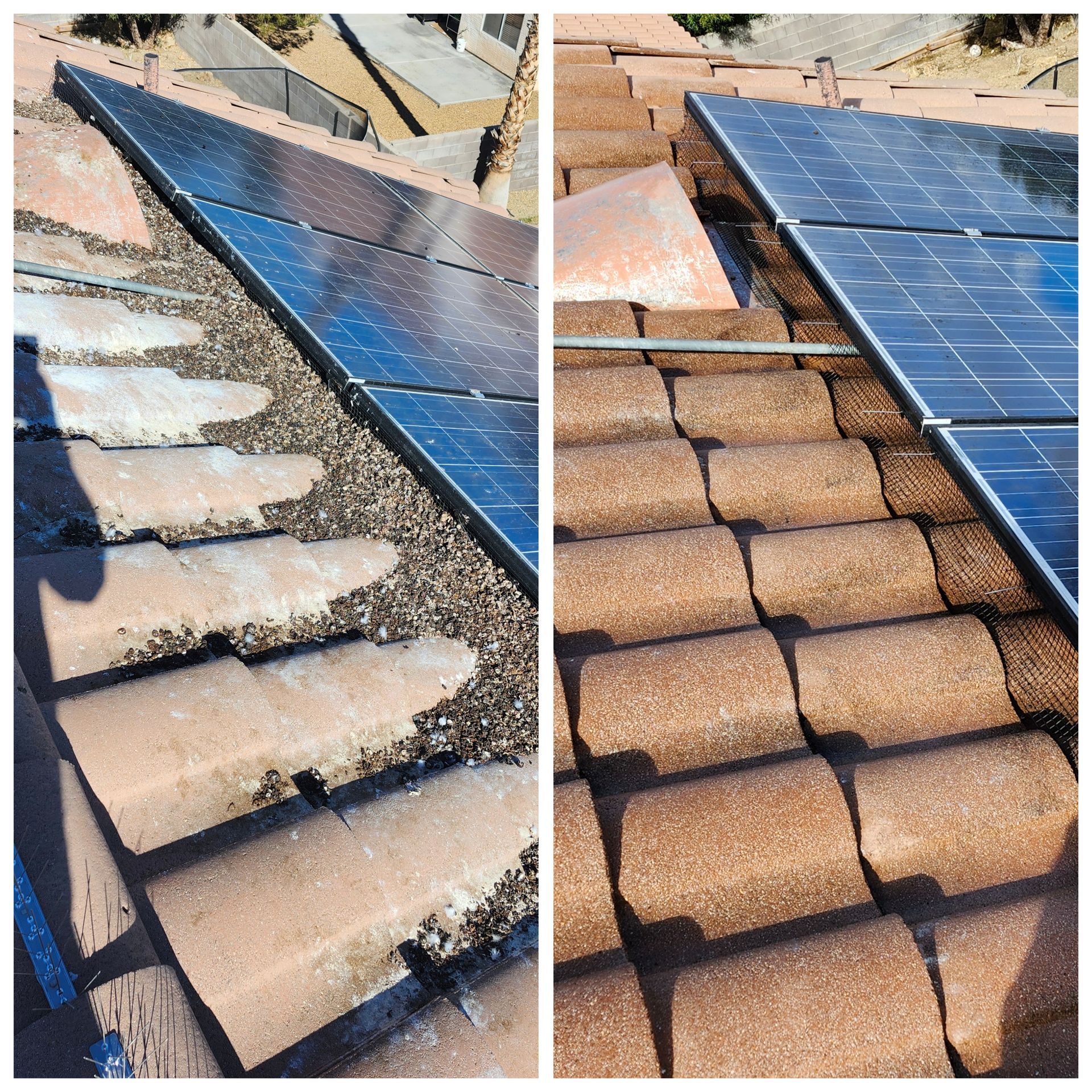Picture a roof with a lot of pigeon waste covering it and the solar panels. And another picture with the area cleaned up.