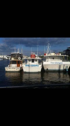 Boat - Deep Sea Fishing in Tarpon Springs, FL