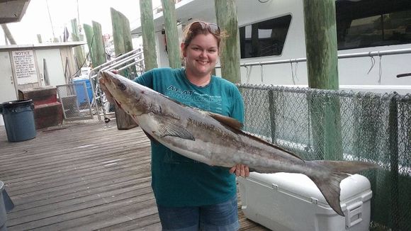 Woman with Big Fish - Deep Sea Fishing in Tarpon Springs, FL