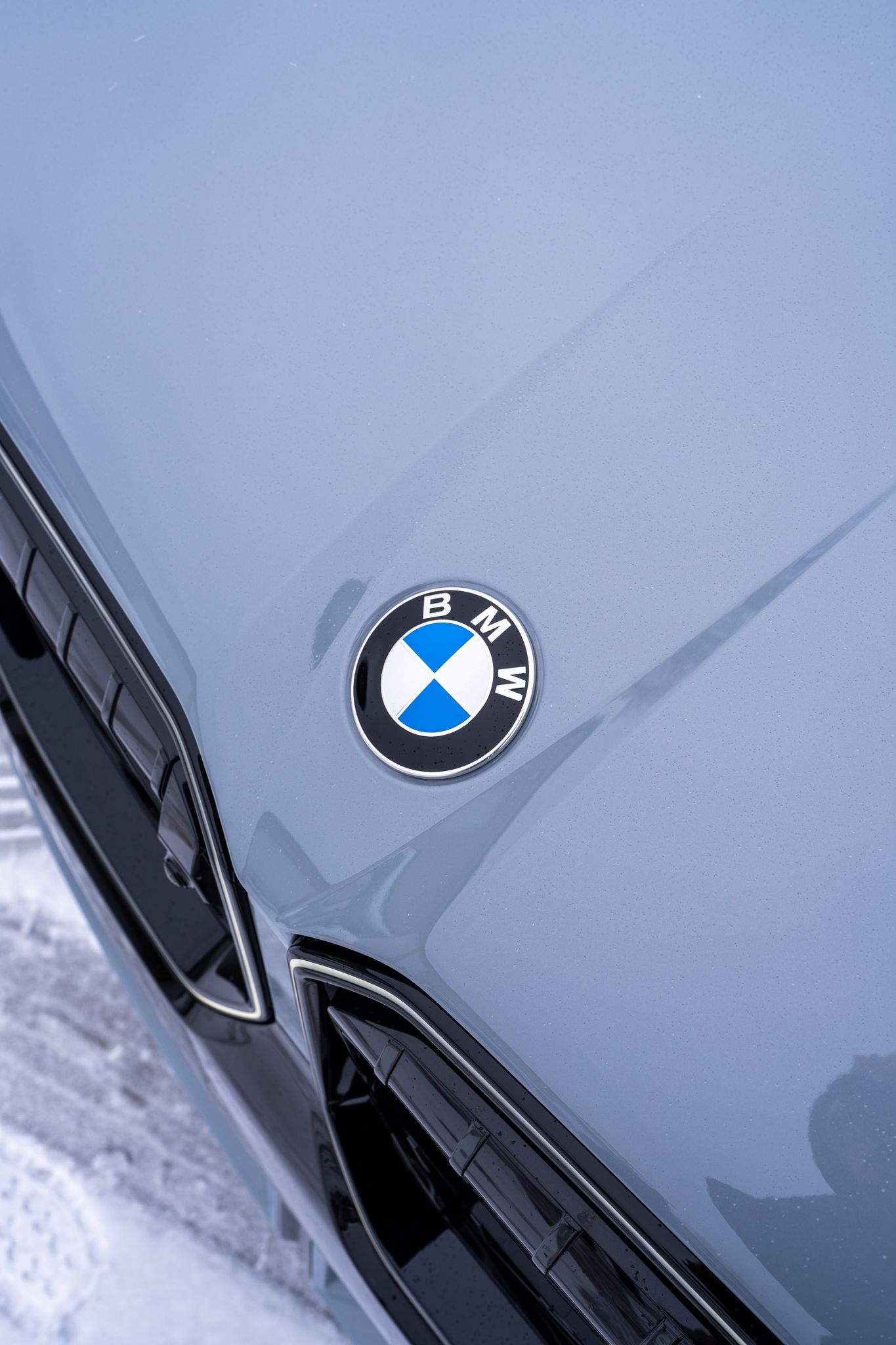 BMW emblem on a light gray car hood, with a partially visible black front and snow.