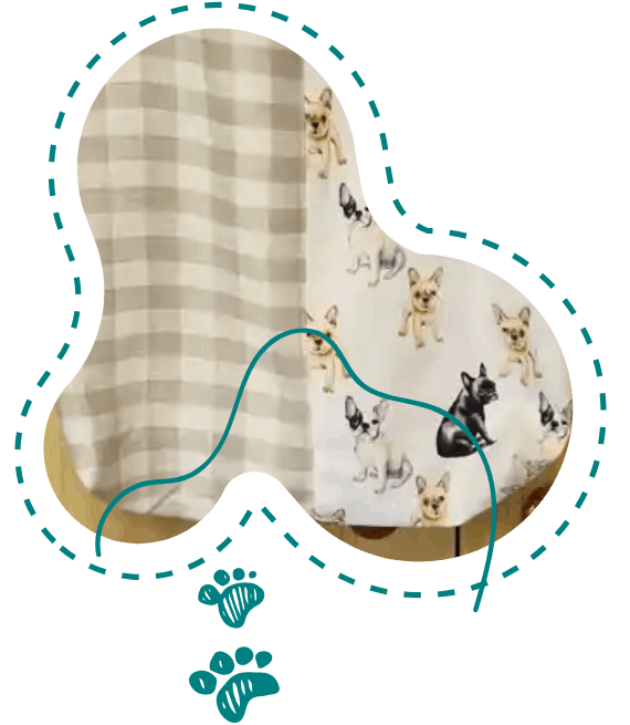 A person is walking a dog on a leash.