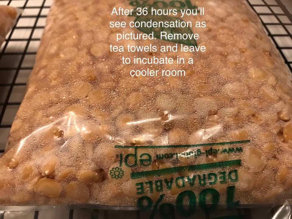 How to make tempeh with yellow split peas