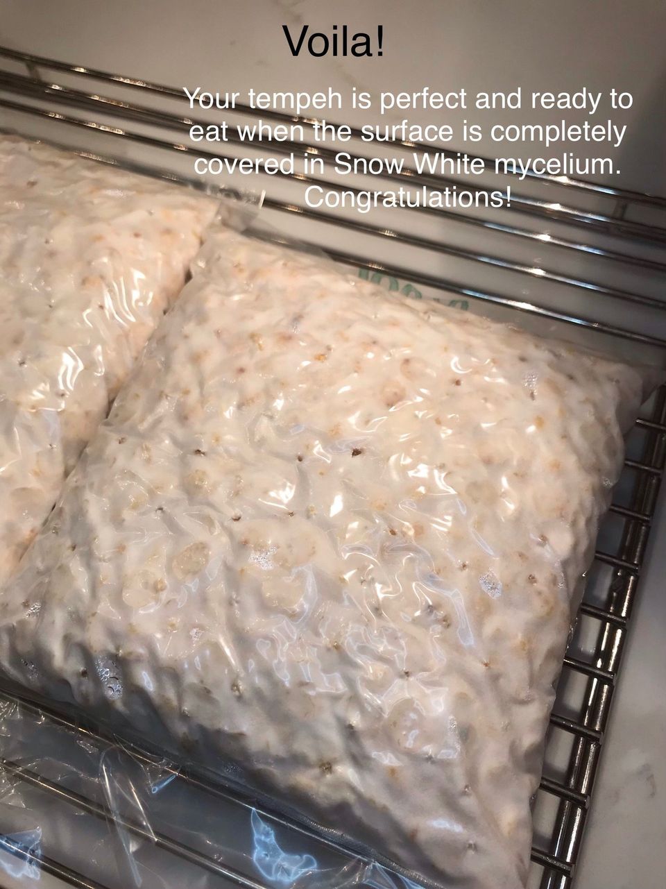 How to make tempeh with yellow split peas