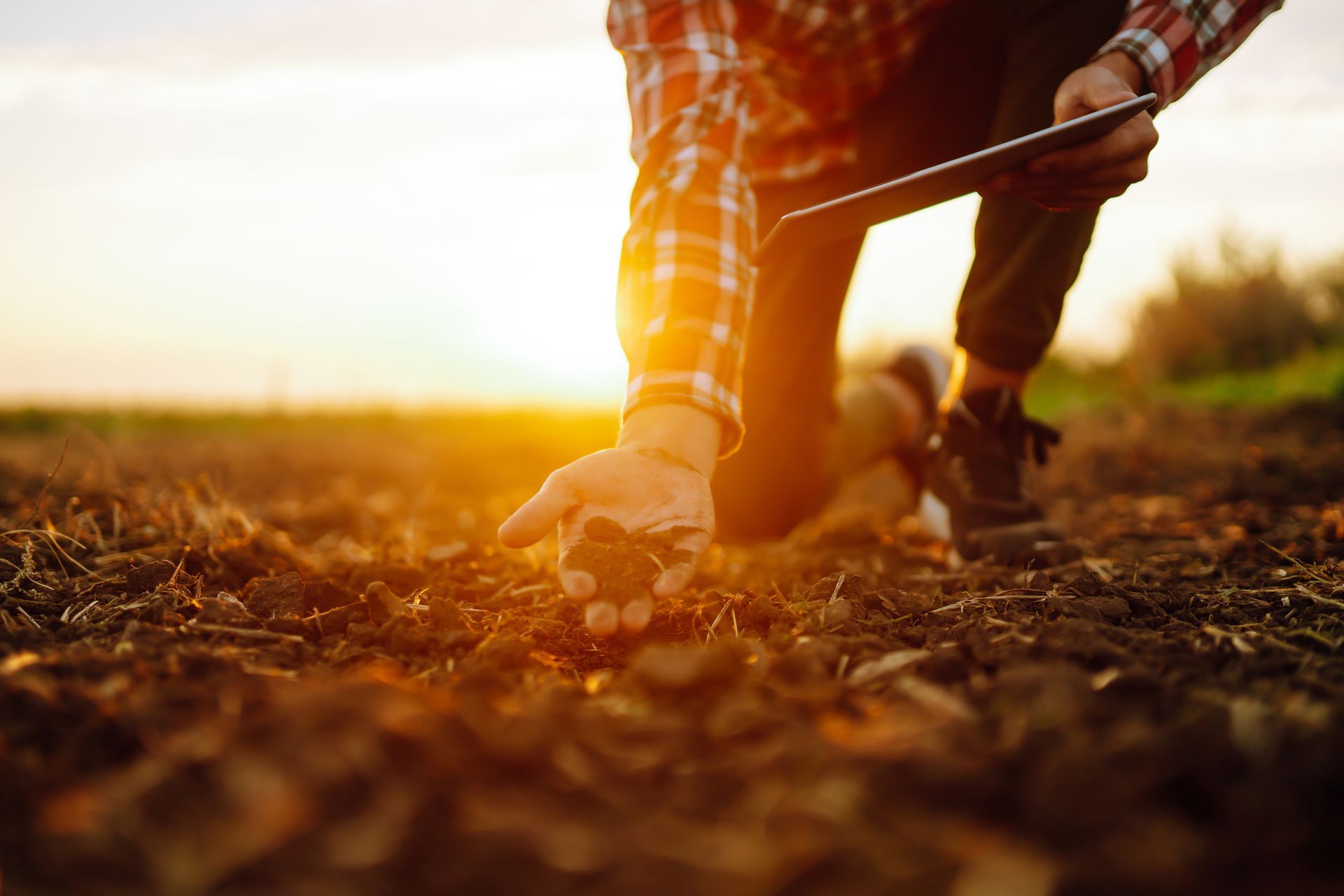 Person walking through a sunlit field at sunset, carrying a stick over dry soil