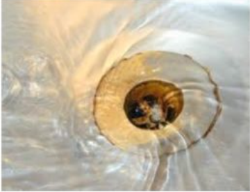 A close up of a glass object with a light inside of it