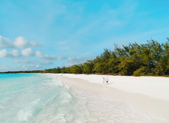 A white sandy beach with trees on the shore and turquoise water.