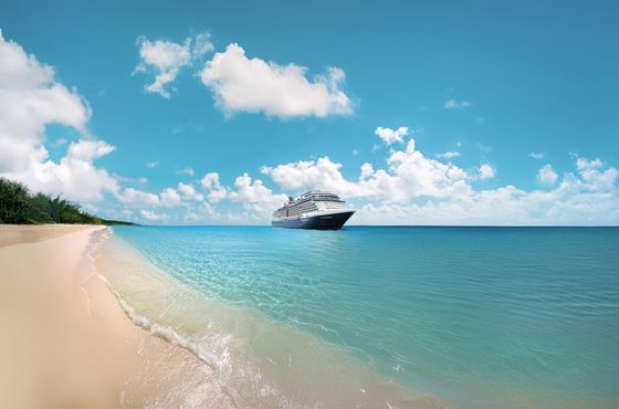 A cruise ship is floating on top of a tropical beach.