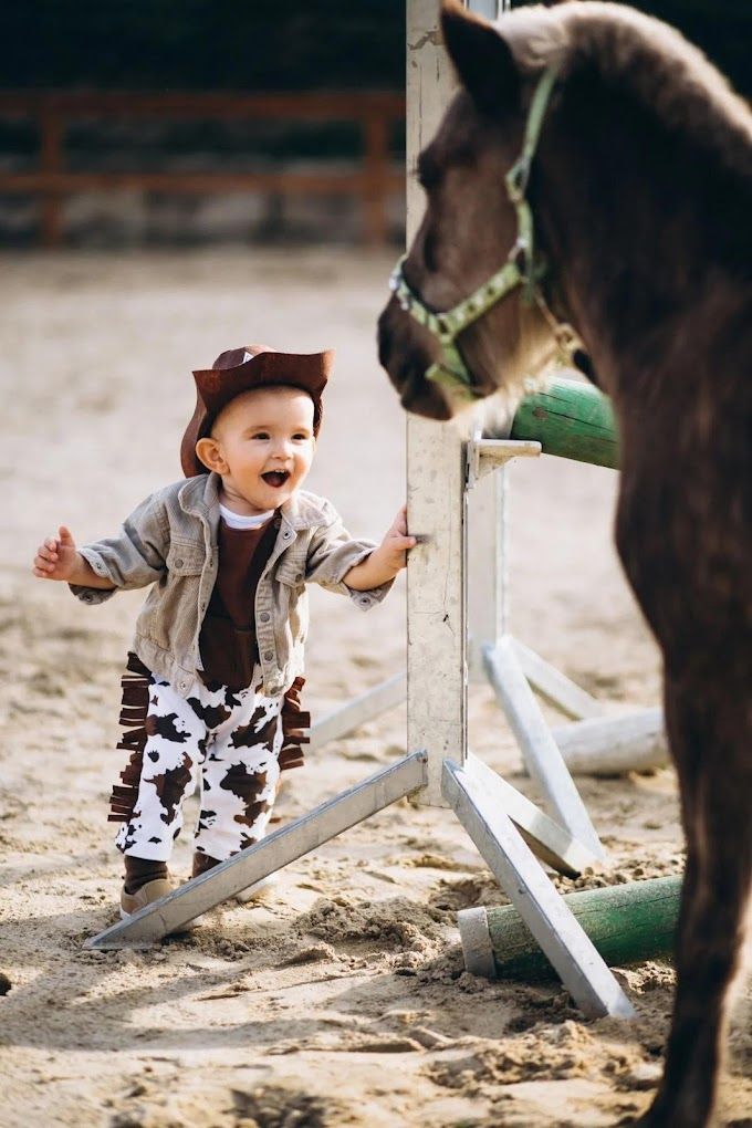 Baby And A Horse