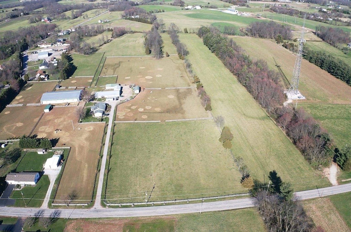 Horseback Riding Lesson