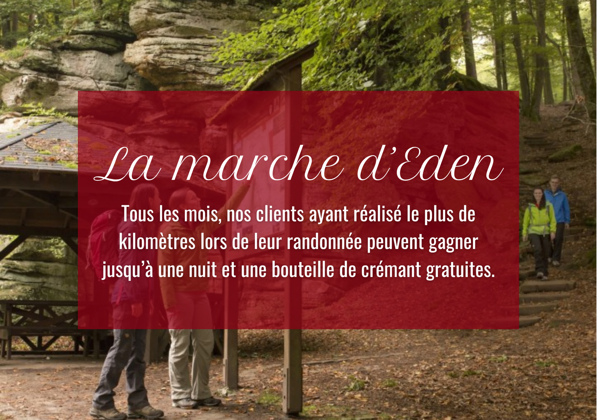 Superposition rouge avec le texte « La marche d'Eden », offrant une nuit et une bouteille de Crémant aux clients parcourant le plus de kilomètres. Randonneurs en forêt.