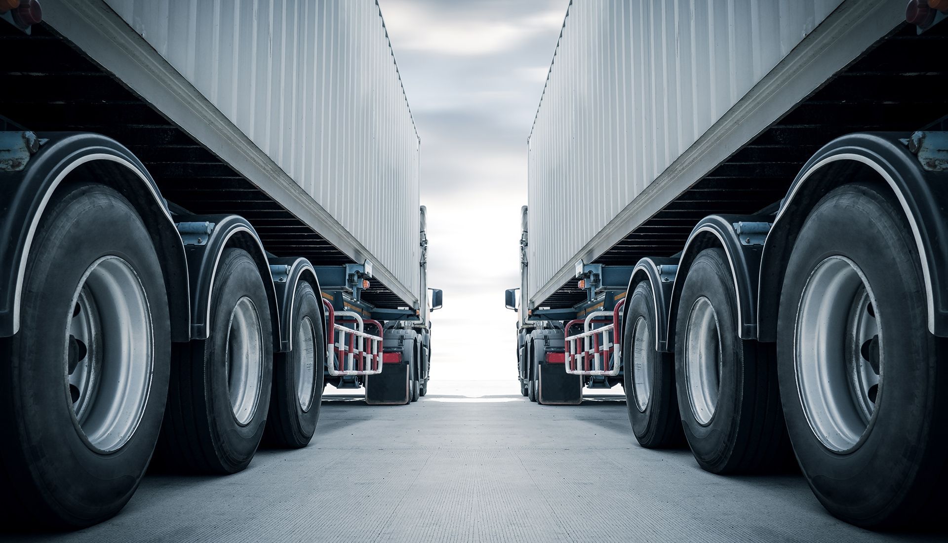 Empty white background.