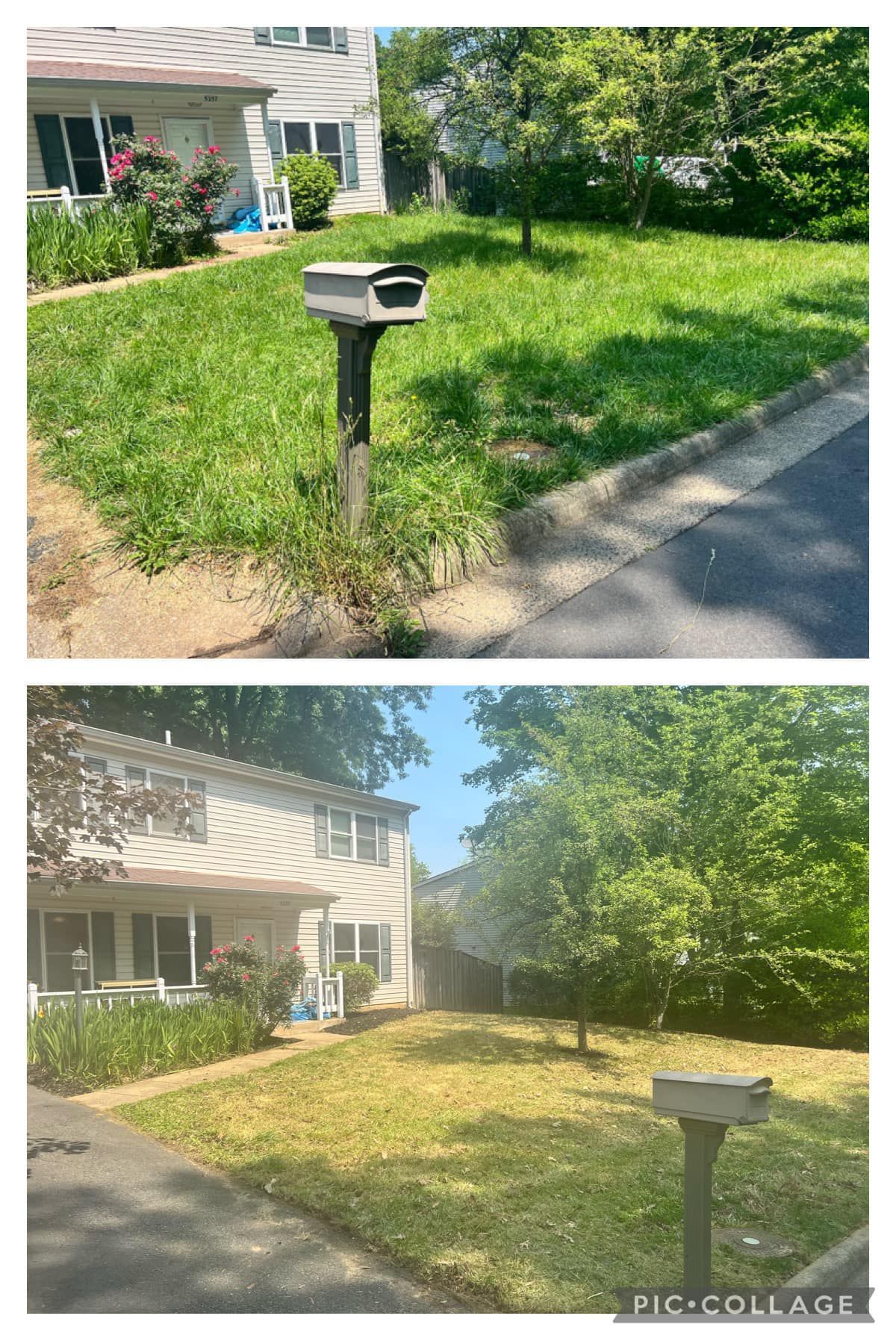 A before and after picture of a lawn with a mailbox.