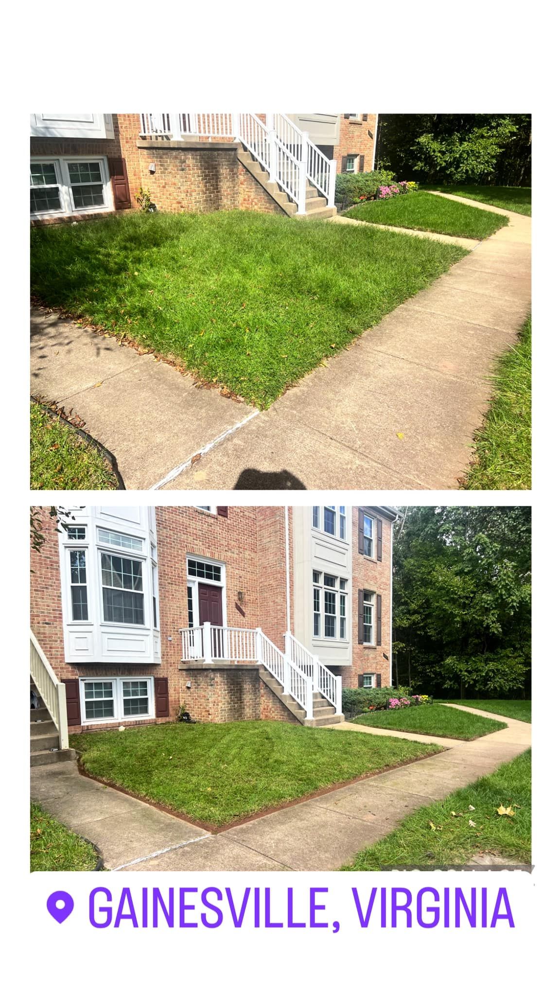 A collage of two pictures of a lawn in gainesville , virginia.