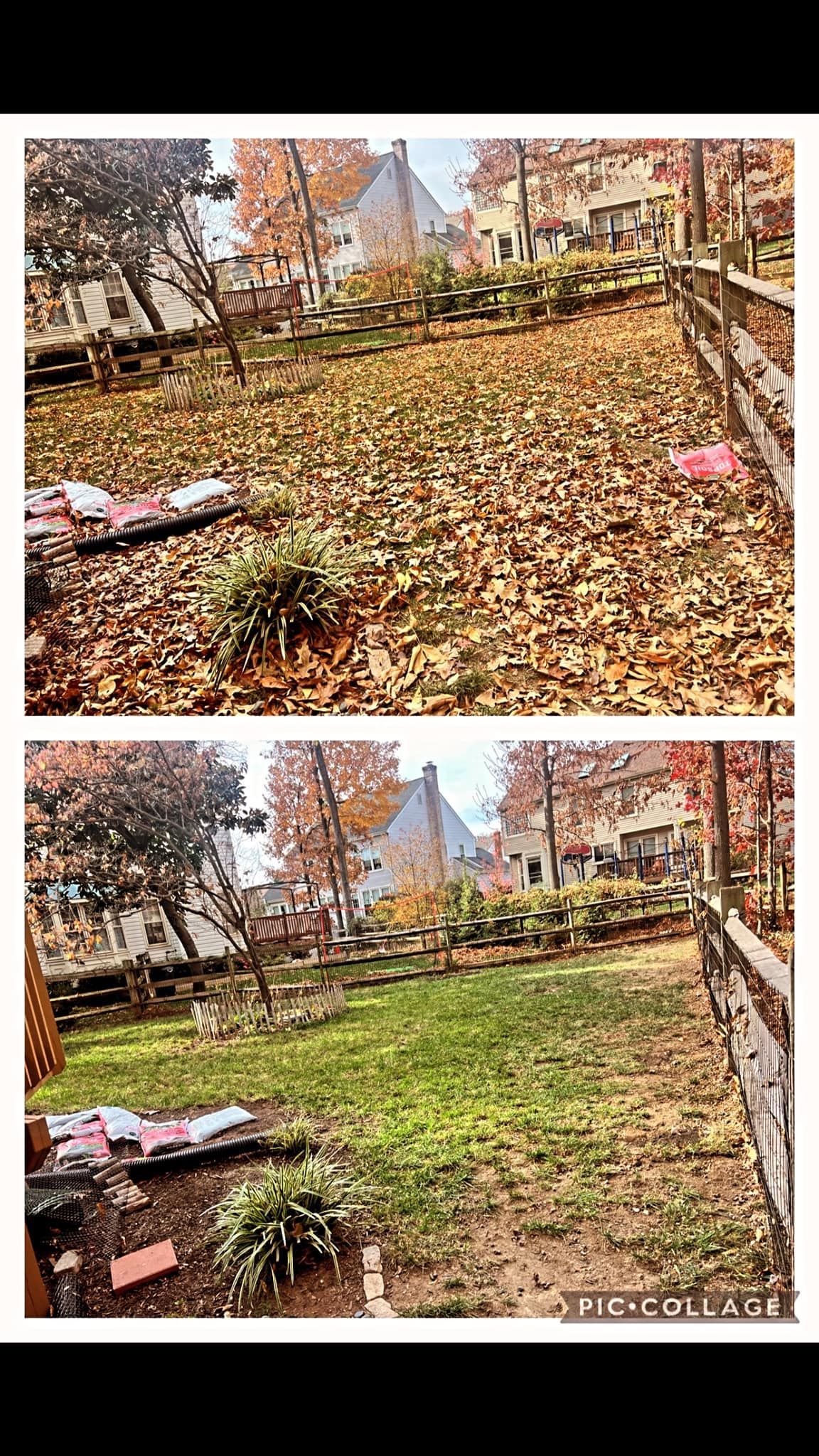 A before and after picture of a backyard covered in leaves.