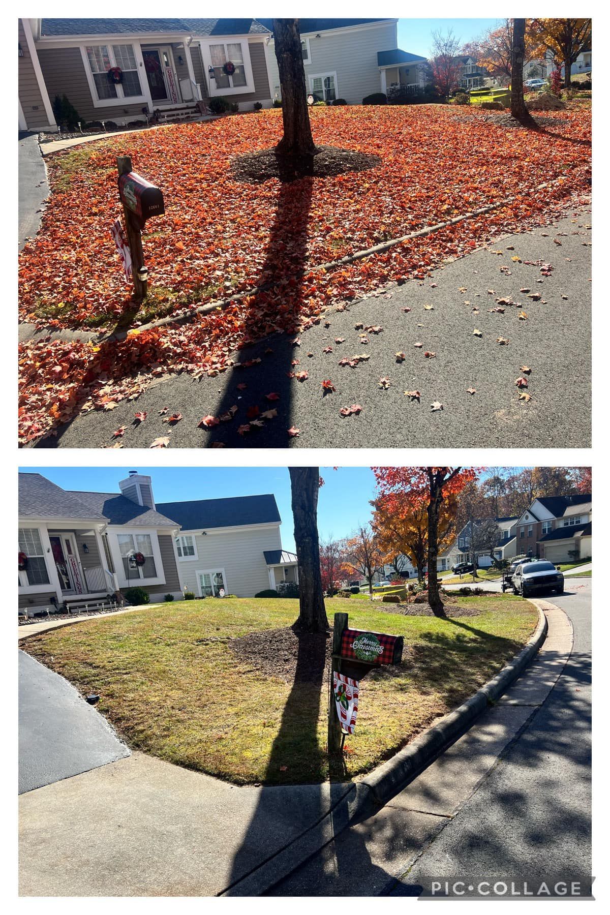 A before and after picture of a yard with leaves on the ground.