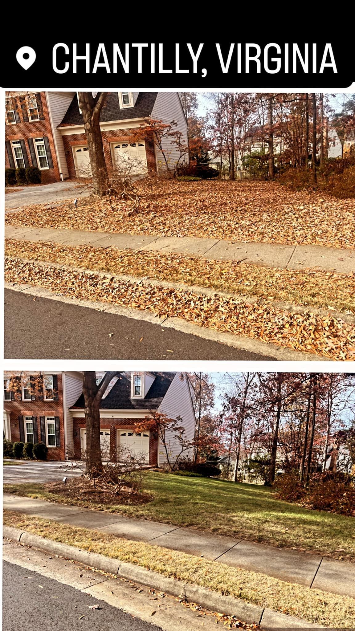 A collage of pictures of a house and a yard in chantilly , virginia.
