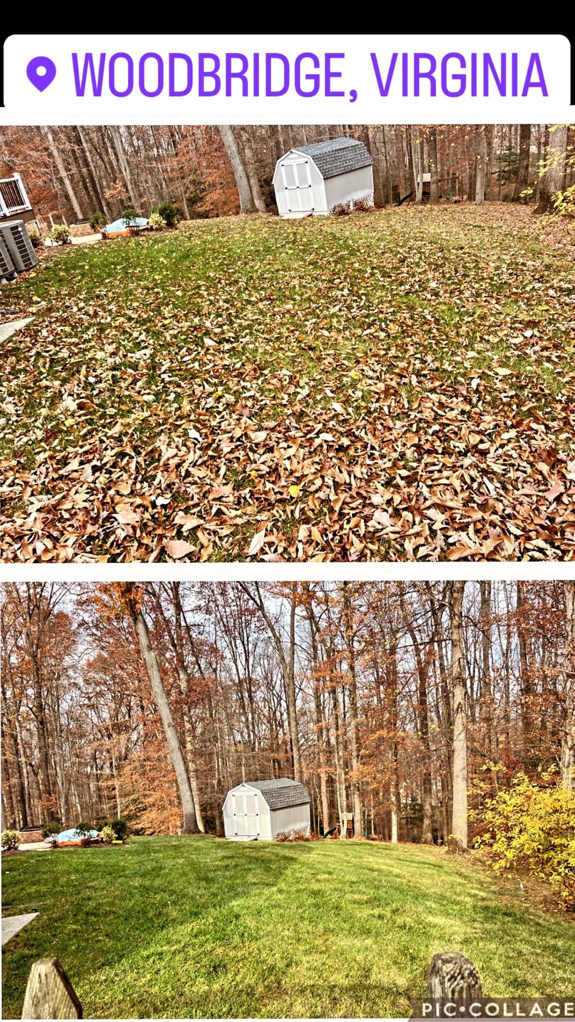 A before and after picture of a lawn in woodbridge , virginia.