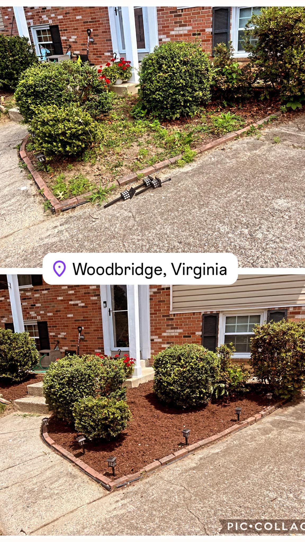 A before and after picture of a lawn in woodbridge , virginia.