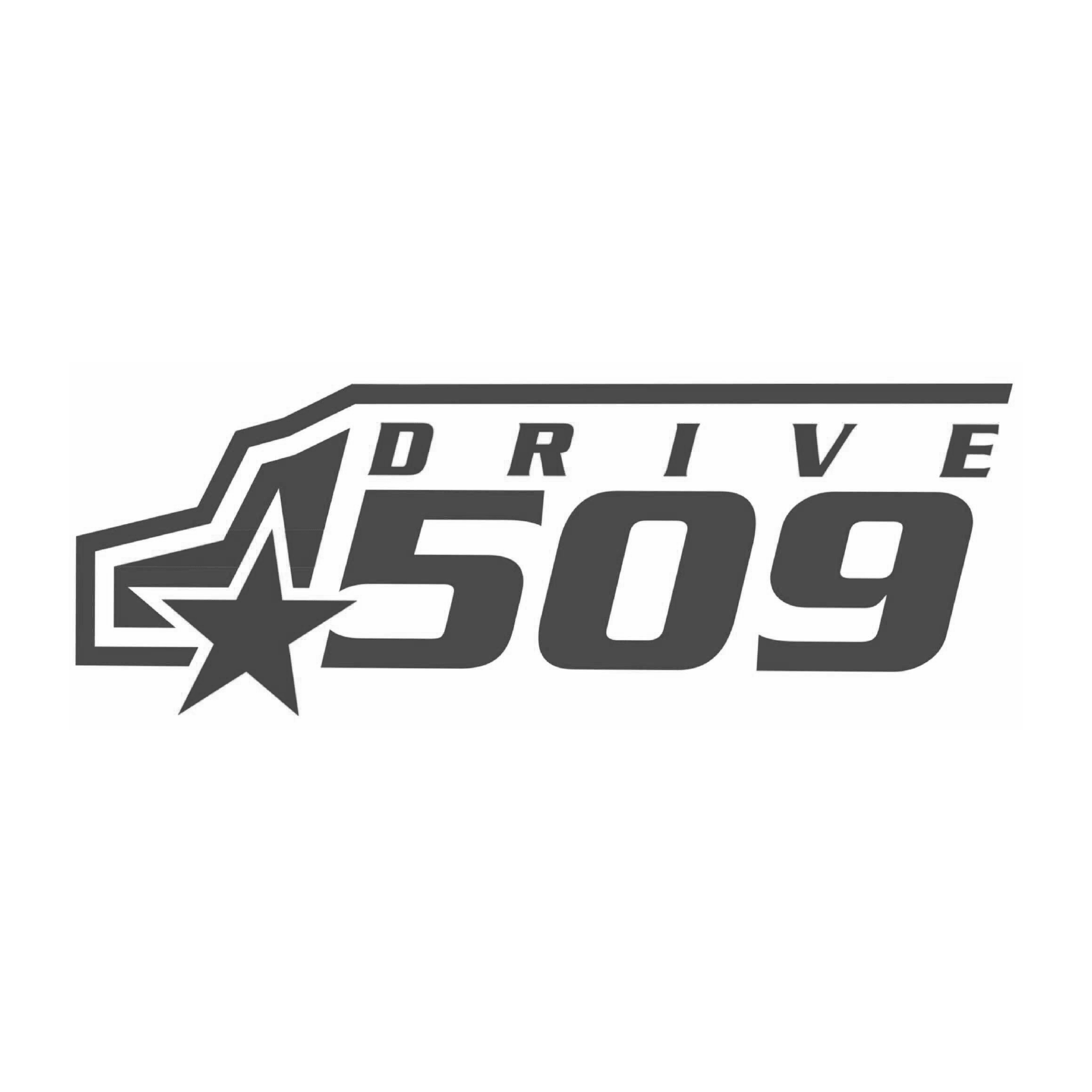 Drive 509 Logo