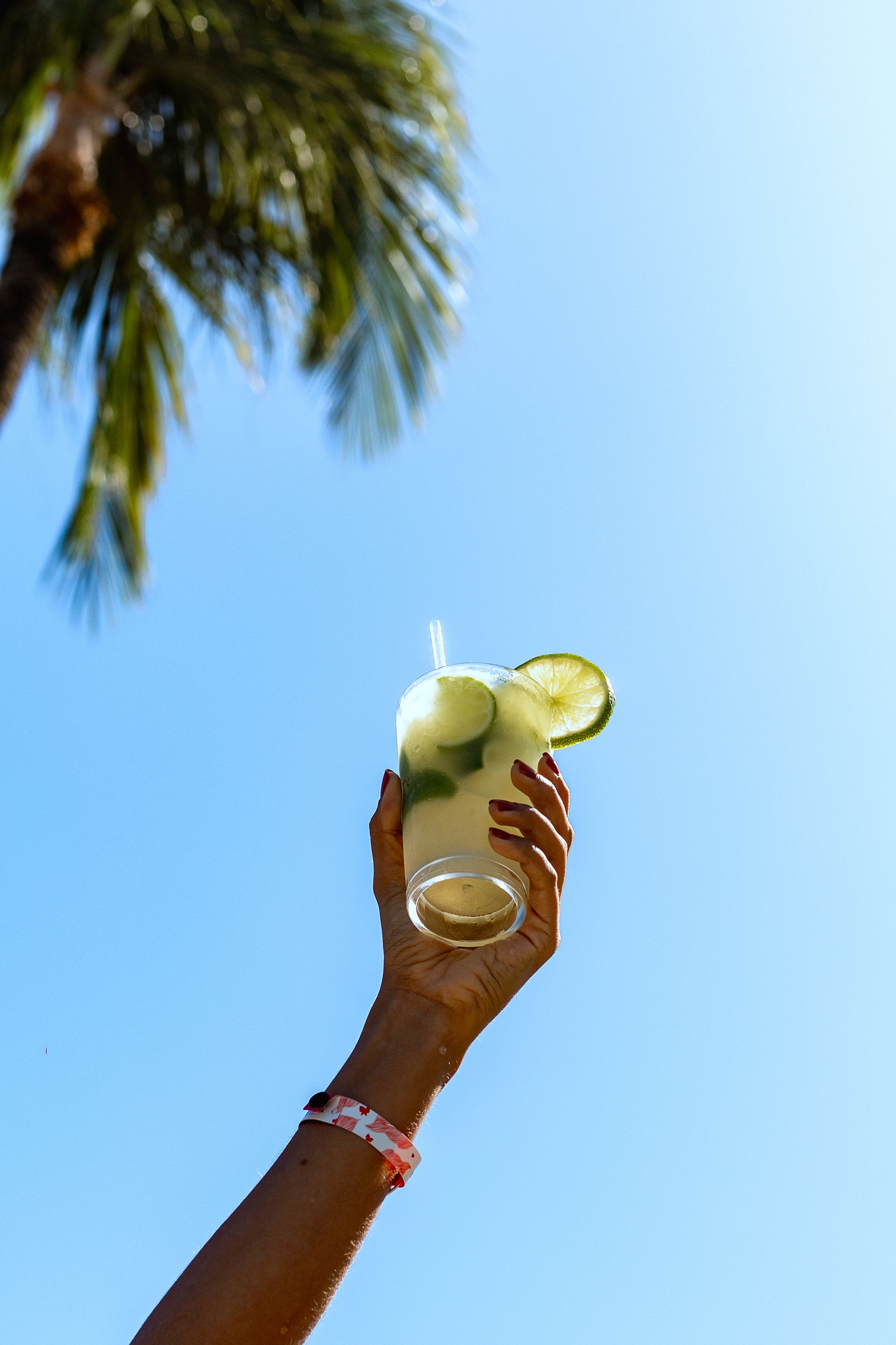 Mão segurando uma bebida refrescante, decorada com limão, contra um céu azul brilhante e uma palmeira.